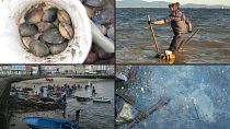 صيد المأكولات البحرية التقليدي ضحية لتغير المناخ في غاليسيا.