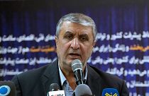 رئیس سازمان انرژی اتمی ایران