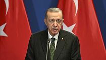 Turkey's President Recep Tayyip Erdogan speaks in December