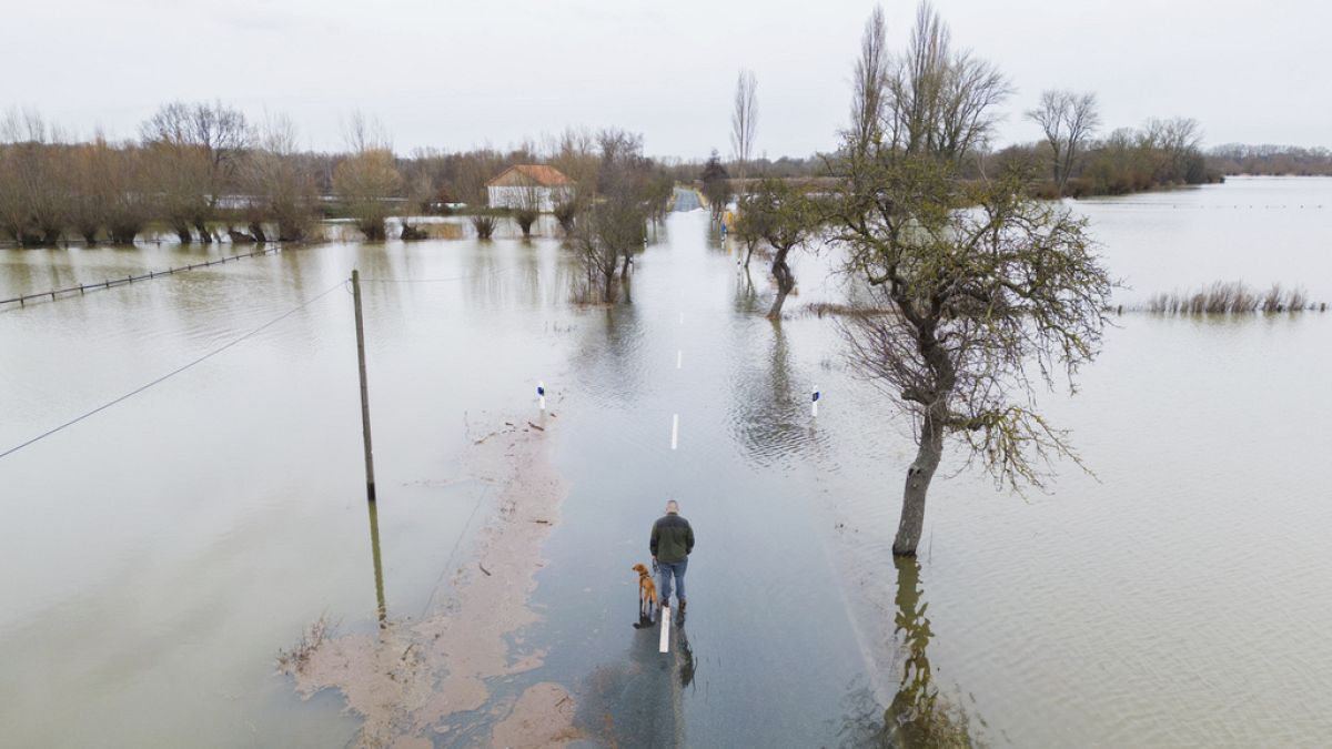 Ein Mann steht mit seinem Hund auf der überfluteten Landstraße zwischen Harkenbleck und Wilkenburg in Hemmingen.