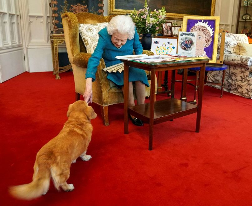 La reine Elizabeth II, âgée de 95 ans, caresse Candy, son chien Dorgi