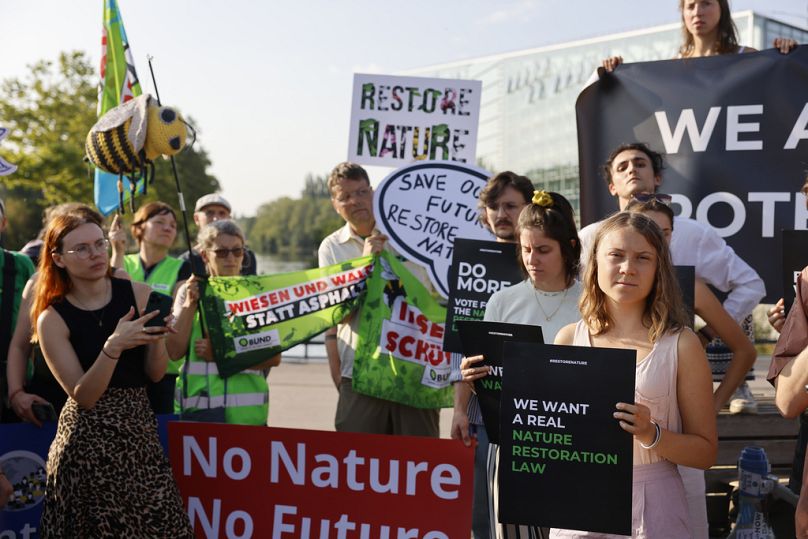 İsveçli iklim aktivisti Greta Thunberg yasa için eylemcilere katıldı
