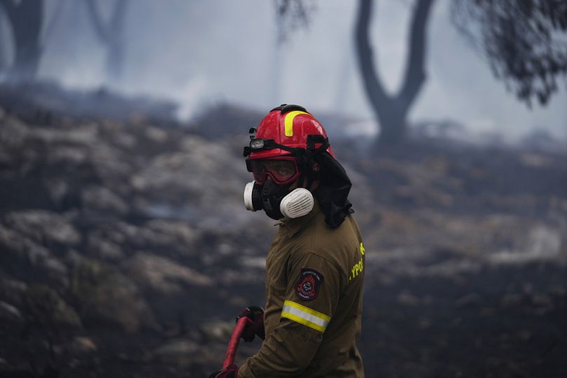 Yunanistan'da AB sınırları içinde kaydedilen en büyük orman yangını meydana geldi