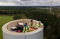 Swedish start-up Modvion is making wind towers out of wood.