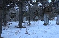 الجيش الأميركي في ألاسكا