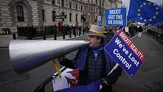 Ο μακροχρόνιος διαδηλωτής κατά του Brexit Steve Bray διαδηλώνει απέναντι από το Κοινοβούλιο 