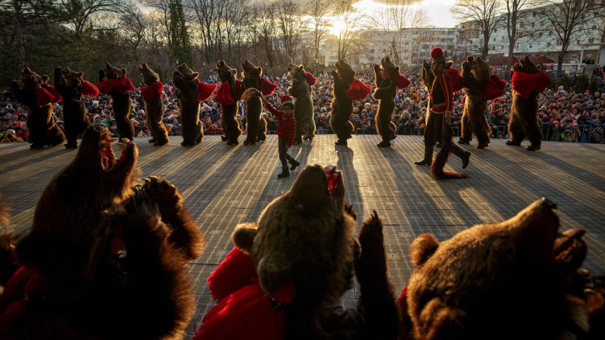 Μέλη μιας περιφερειακής αγέλης αρκούδων παίζουν κατά τη διάρκεια ενός φεστιβάλ στο Moinesti της βόρειας Ρουμανίας, Τετάρτη 27 Δεκεμβρίου 2023.