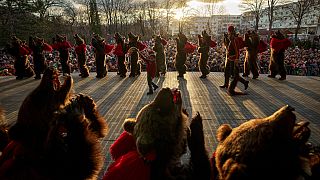 Μέλη μιας περιφερειακής αγέλης αρκούδων παίζουν κατά τη διάρκεια ενός φεστιβάλ στο Moinesti της βόρειας Ρουμανίας, Τετάρτη 27 Δεκεμβρίου 2023.