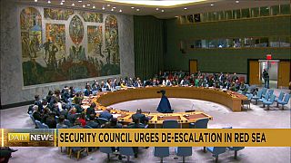 Security Council urges de-escalation in Red Sea
