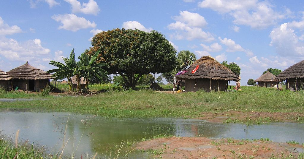 Uganda: Refugees in Nakivale one of Africa’s oldest settlements replant lost forests