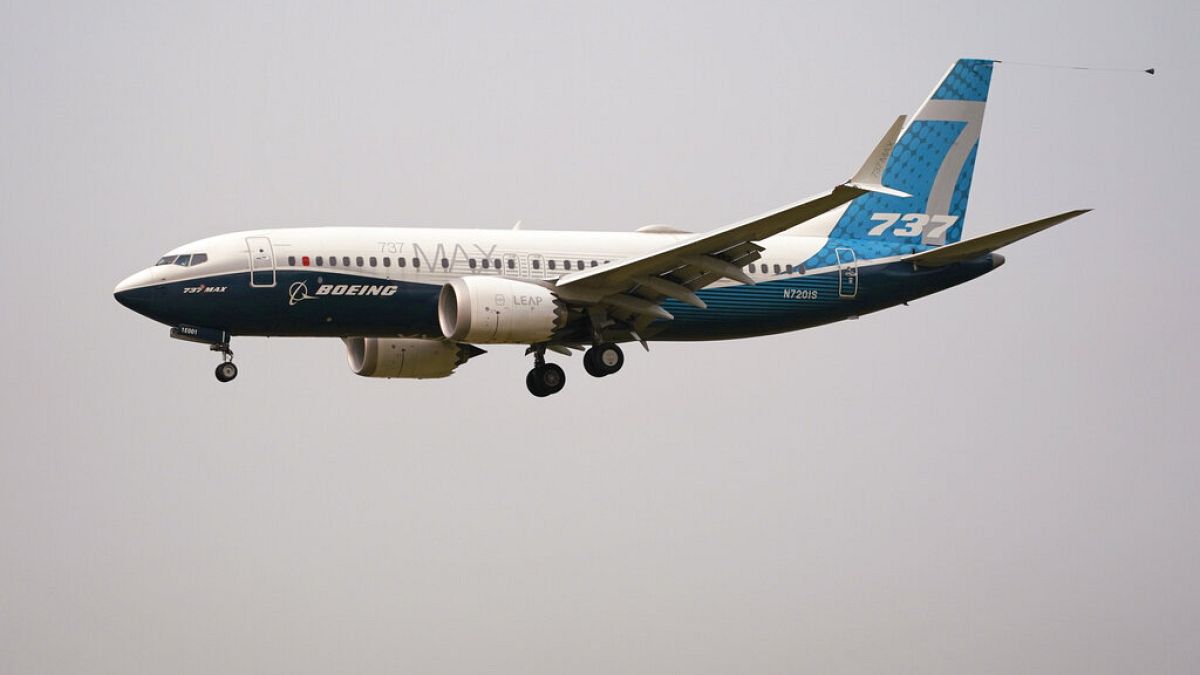 Série 737 Max tem dado vários problemas à Boeing