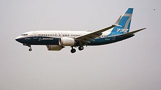 Série 737 Max tem dado vários problemas à Boeing