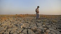 Рыбак идет по сухому участку земли на болотах в провинции Ди-Кар, Ирак, 2 сентября 2022 года