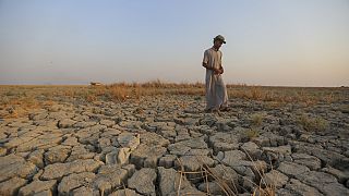 Un pescatore attraversa un pezzo di terra secca nelle paludi della provincia di Dhi Qar, in Iraq, il 2 settembre 2022