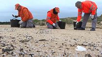 Volontari raccolgono i pellet da una spiaggia della Galizia 