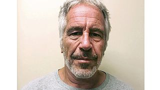 La foto di Jeffrey Epstein presente nel Registro dei criminali sessuali dello stato di New York (28 marzo 2017).
