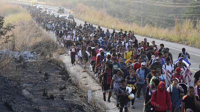 Video. Se reagrupa la caravana de migrantes que comenz en Nochebuena