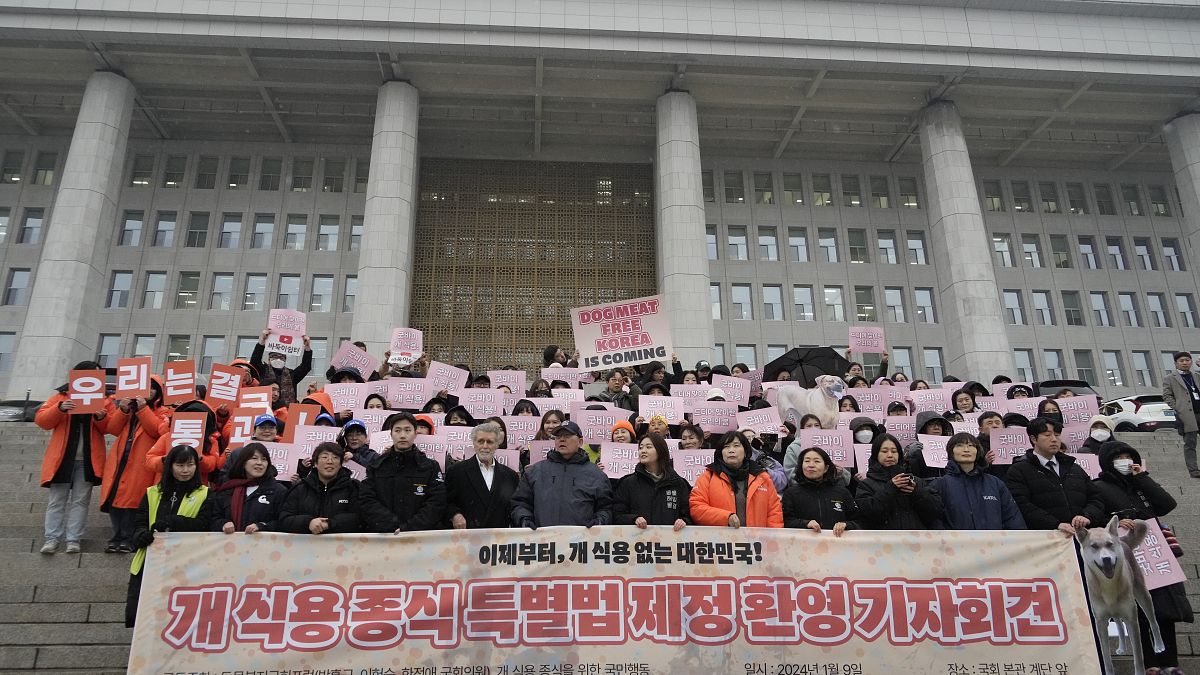 Attivisti per i diritti degli animali partecipano a una manifestazione a sostegno della legge per la messa al bando della carne di cane davanti all'Assemblea Nazionale a Seoul