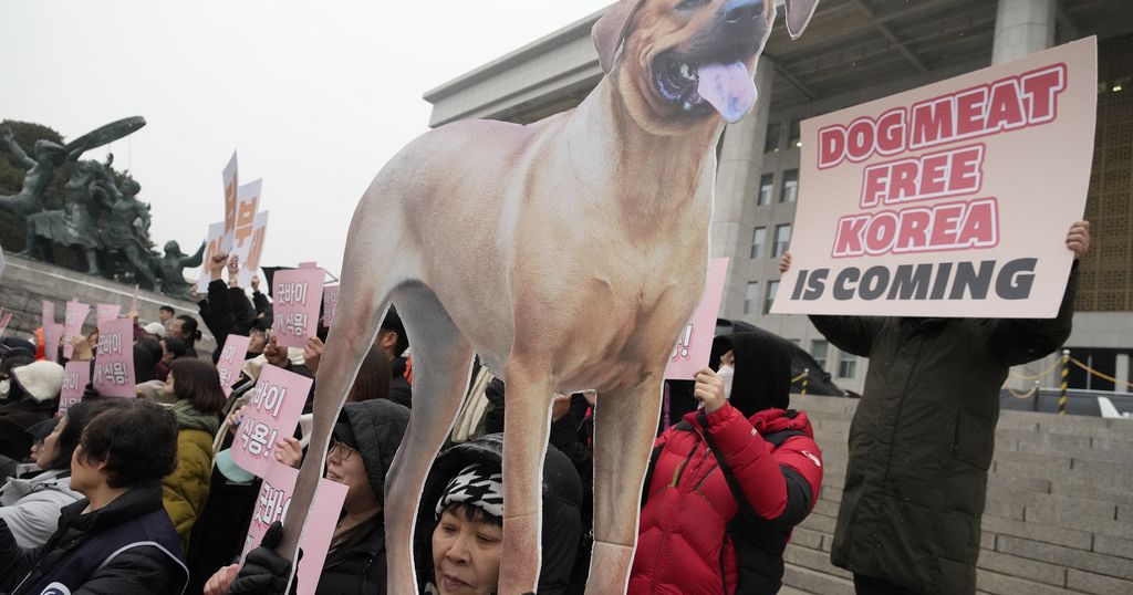 Dog meat production and sales will soon become illegal in South Korea - Vimarsana News