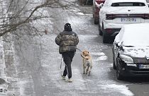 A person walks the dog Tuesday, Jan. 9, 2024 in Ville d'Avray, outside Paris, where temperatures fell under zero degree Celsius.