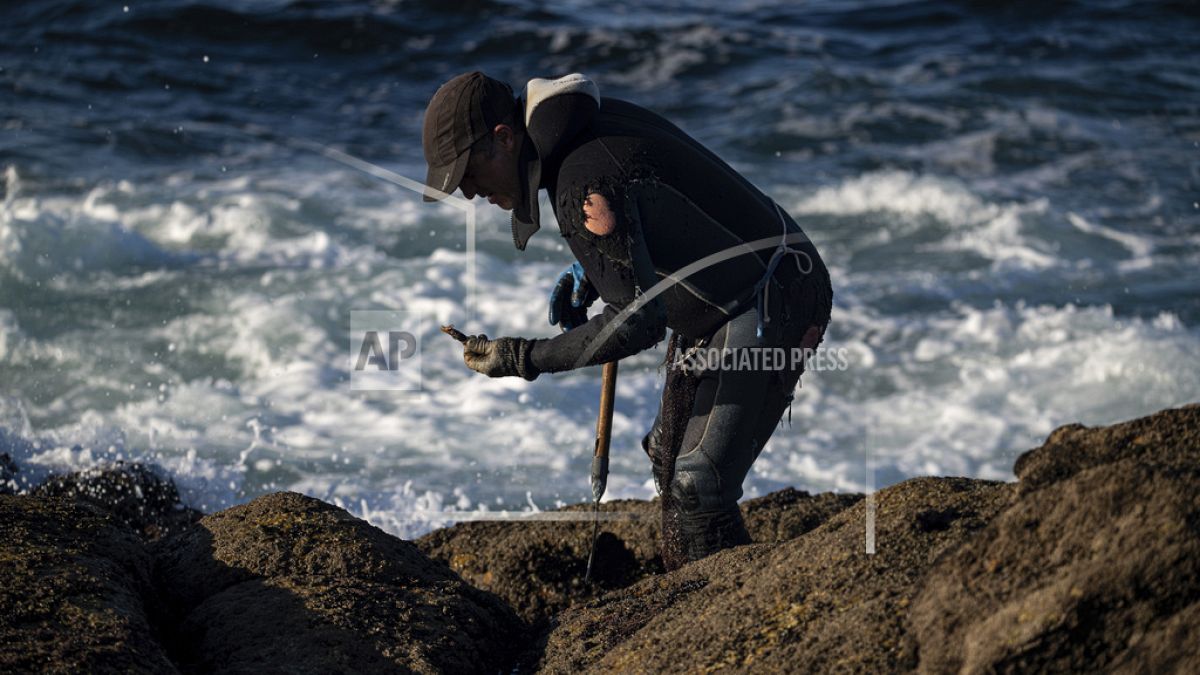 Εθελοντές και εργαζόμενοι της περιοχής προσπαθούν να καθαρίσουην τις ακτές