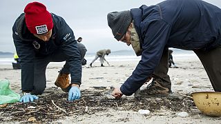 Добровольцы собирают пластиковые гранулы на пляже в Нигране, Понтеведра, Испания, вторник, 9 января 2024 года. 