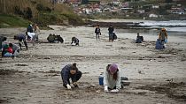 Plastikmüll verschmutzt Spaniens Küste in Galizien