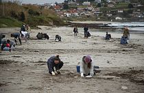 Plastikmüll verschmutzt Spaniens Küste in Galizien
