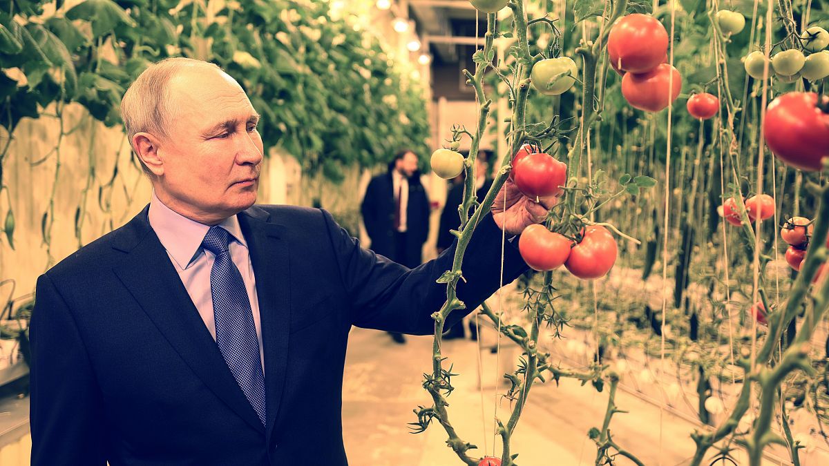 بوتين في زيارة لهنغار يزرع الخضراوات في أنادير