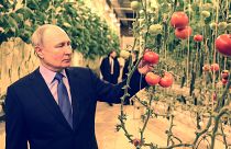 بوتين في زيارة لهنغار يزرع الخضراوات في أنادير