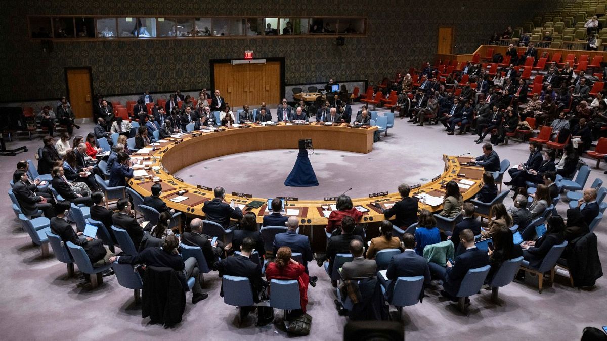 نشست اعضای شورای امنیت سازمان ملل متحد