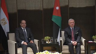 Israeli war in Gaza: Leaders of Egypt, Jordan and Palestinian Authority meet to discuss 