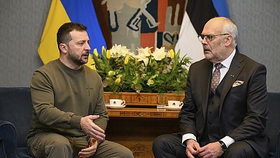 Il presidente Volodymyr Zelensky con il suo omologo dell'Estonia Alar Karis