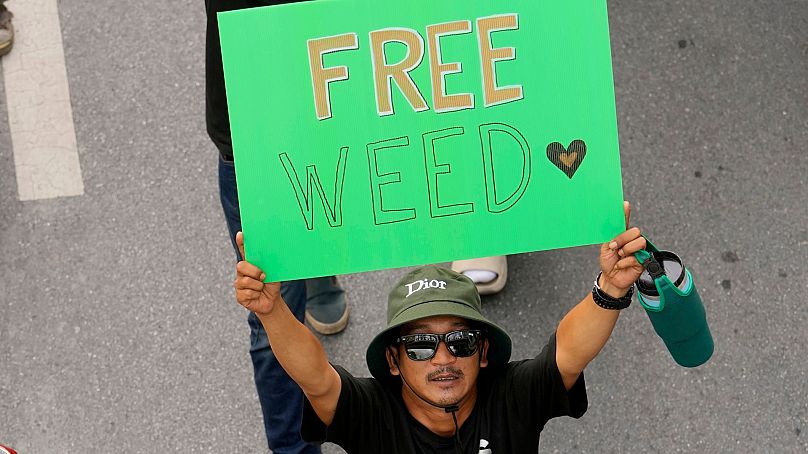 A protester holds a poster to oppose the government's plan to relist cannabis as a narcotic, in Bangkok, Thailand, 8 June 2024.