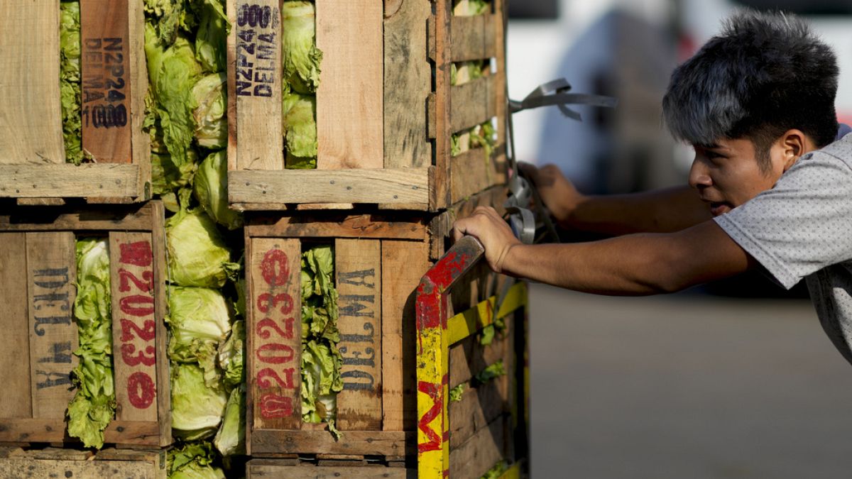 Buenos Aires'te sebze kasalarını iten bir pazarcı