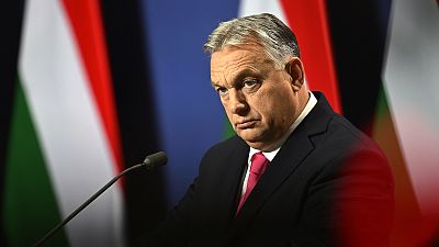 In their joint letter, the MEPs accuse Prime Minister Viktor Orbán of disrupting EU collective decisions.