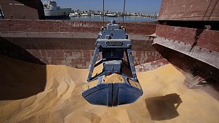 25,000t of Russian free wheat destined for CAR reach Cameroon