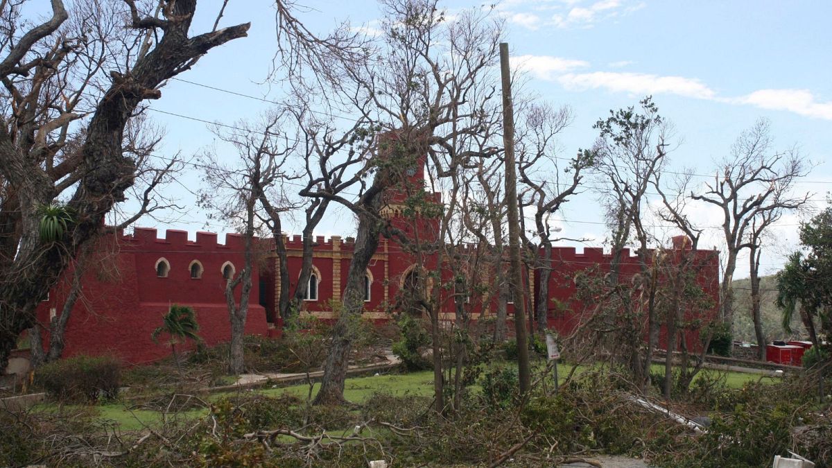 Δέντρα που απογυμνώθηκαν από τα φύλλα και τα κλαδιά τους από τους ισχυρούς ανέμους του τυφώνα Ίρμα περιβάλλουν το ιστορικό Fort Christian στον Άγιο Τόμας, USVI, Σεπτέμβριος 2017.
