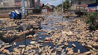 فيضانات في أحياء كينشاسا-الكونغو الديمقراطية