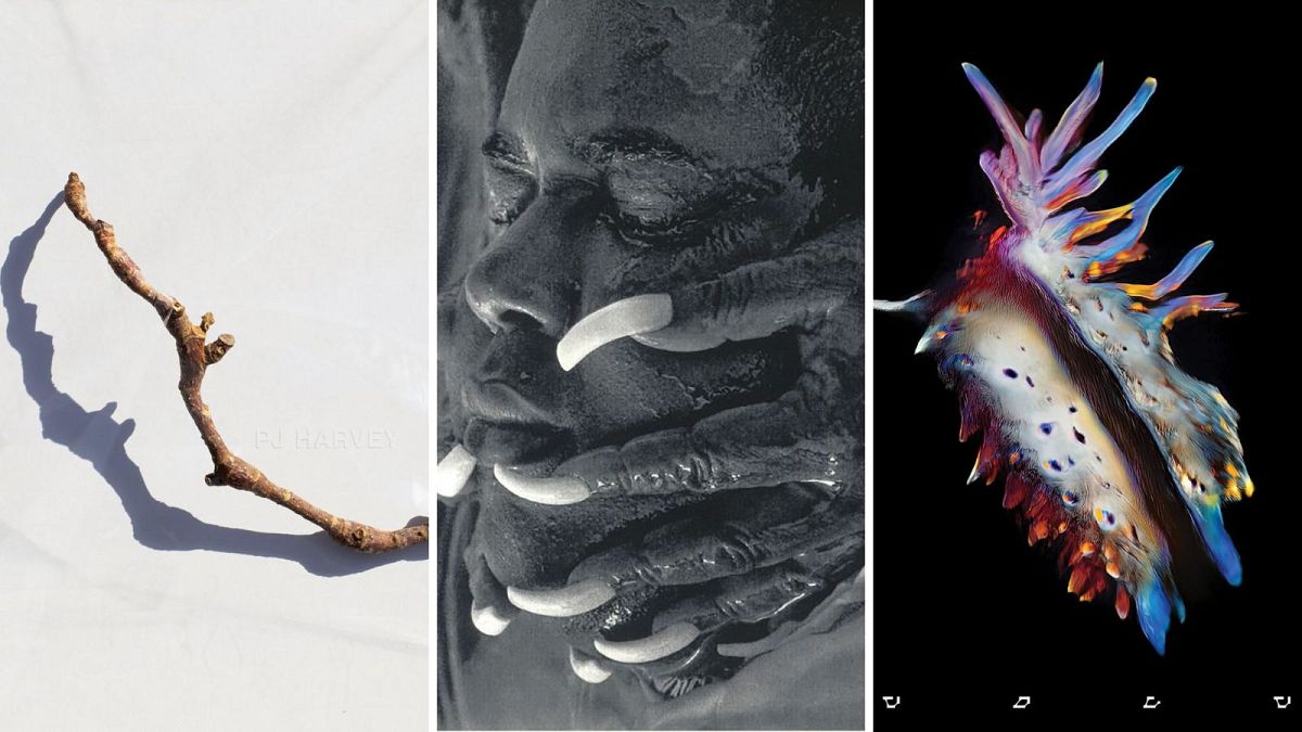 Обложката на албума на PJ Harvey печели наградата за най-добър арт винил