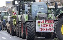 Alman çiftçiler Berlin'de hükümeti protesto etti