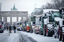 اعتراض کشاورزان آلمانی در شهر برلین به تاریخ ۱۶ ژانویه