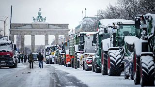 اعتراض کشاورزان آلمانی در شهر برلین به تاریخ ۱۶ ژانویه