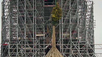 Screenshot - le mimose poste sul tetto ricostruito di Notre Dame