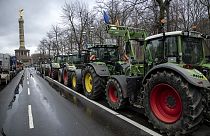 Traktorok Berlinben 