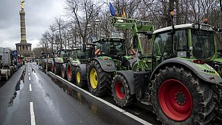 Traktorok Berlinben 