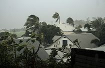 Pálmafákat tép a ciklon