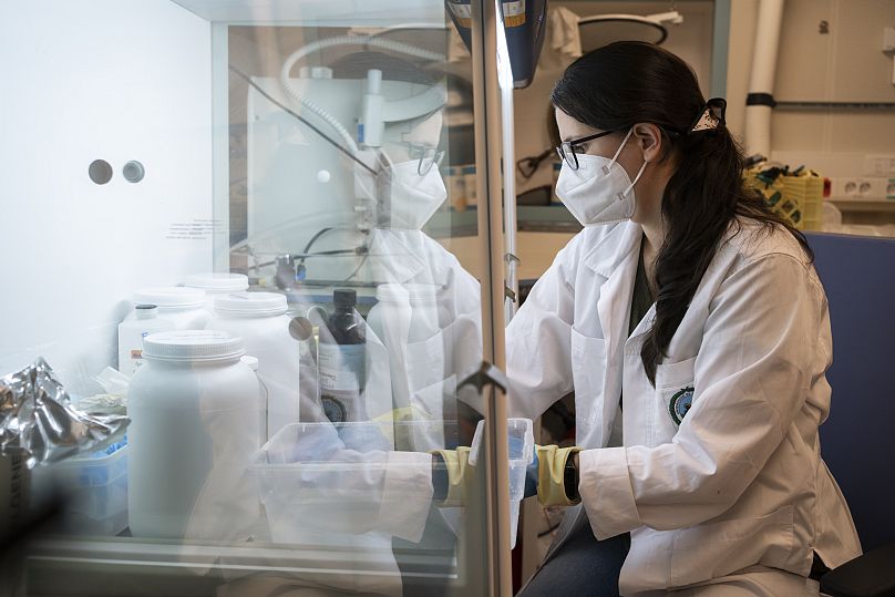 La investigadora Fiorella Vásquez (Universidad de Costa Rica) procesa una muestra de pulpo de aguas profundas en el laboratorio principal durante la expedición.