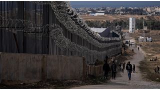 فلسطينيون نزحوا إثر القصف الإسرائيلي على غزة يسيرون بجوار الحدود مع مصر، في رفح الأحد 14 يناير 2024