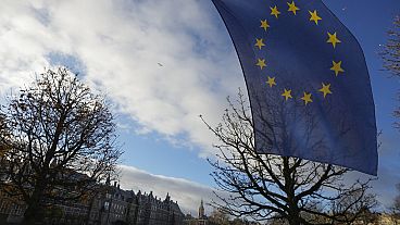  A European Union flag flies outside parliament building, in The Hague, Netherlands, Thursday Nov. 23, 2023.